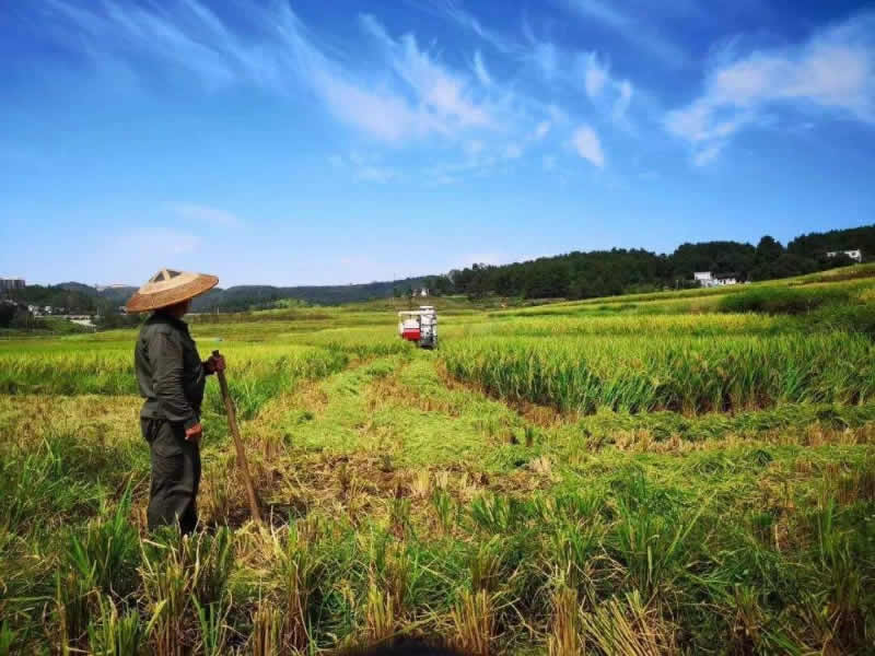 欢迎访问挪威挪佳